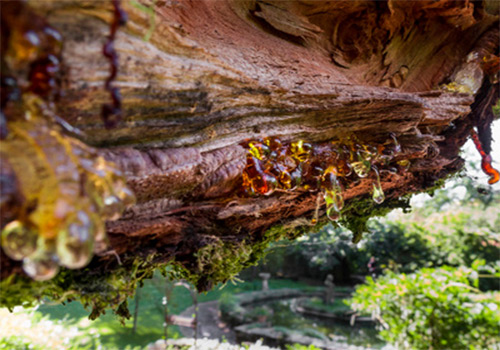 道康寧ACP-1400麻豆精品无码