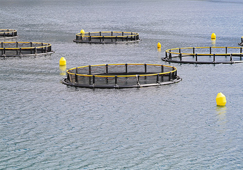 瓦克SE 1060麻豆精品无码