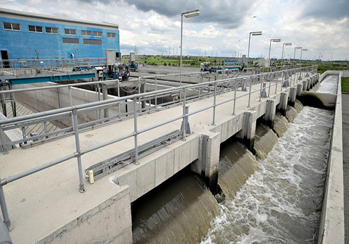 羅地亞C546麻豆精品无码